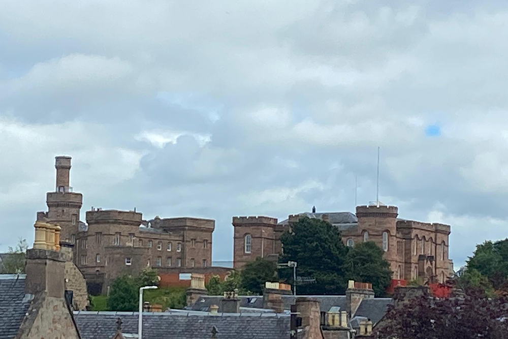 Treehouse Castle view